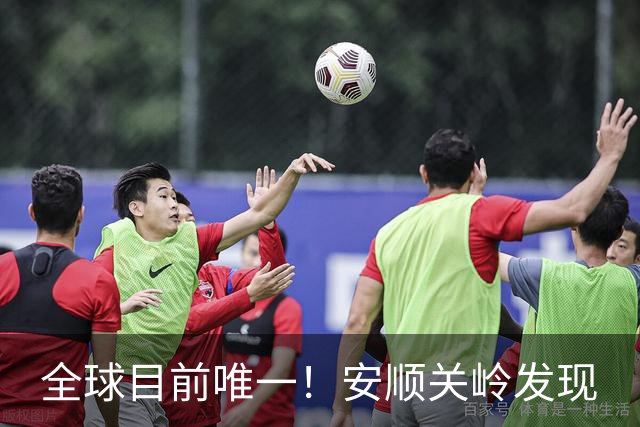 全球目前唯一！安顺关岭发现