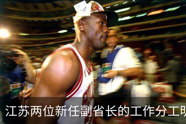 江苏两位新任副省长的工作分工明确了