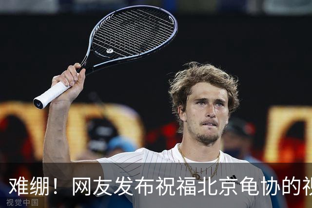 难绷！网友发布祝福北京龟协的视频，评论区涌入大批足球迷
